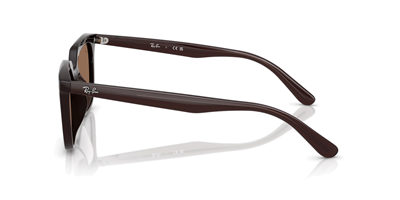 RAYBAN RB 4439-D 6231/73 54