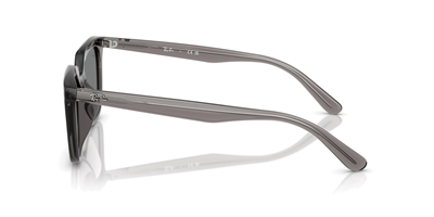 RAYBAN RB 4439-D 6675/87 54
