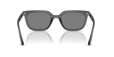 RAYBAN RB 4439-D 6675/87 54