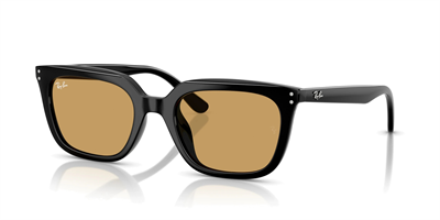 RAYBAN RB 4439-D 901/73 54
