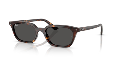 RAYBAN RB 4456 Zaya 1359/87 53