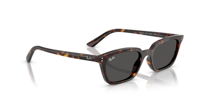 RAYBAN RB 4456 Zaya 1359/87 53