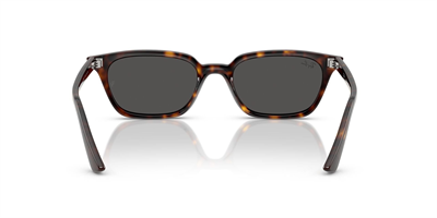 RAYBAN RB 4456 Zaya 1359/87 53