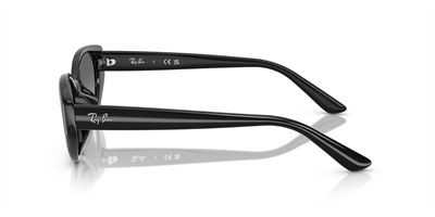 RAYBAN RB 4457-D 6677/11 55