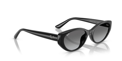 RAYBAN RB 4457-D 6677/11 55