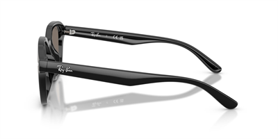 RAYBAN RB 4458-D 601/6V 65