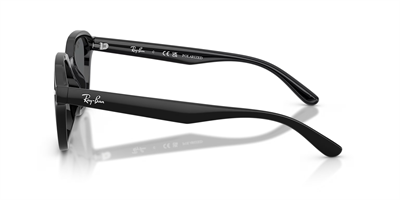 RAYBAN RB 4458-D 601/81 65