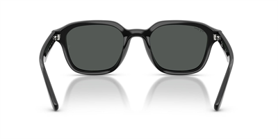 RAYBAN RB 4458-D 601/87 65