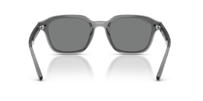 RAYBAN RB 4458-D 645087 65