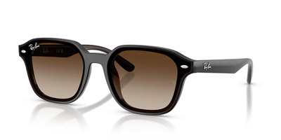 RAYBAN RB 4458-D 714/13 65