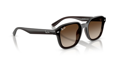RAYBAN RB 4458-D 714/13 65