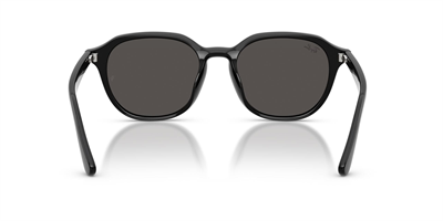 RAYBAN RB 4459-D 901/87 54