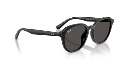 RAYBAN RB 4459-D 901/87 54