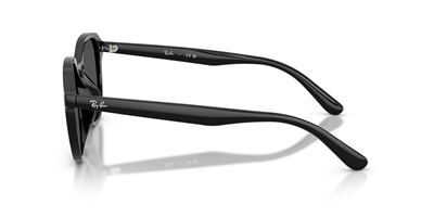 RAYBAN RB 4459-D 901/87 54