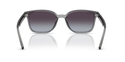 RAYBAN RB 4461-D 6450/8G 64