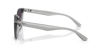 RAYBAN RB 4461-D 6450/8G 64