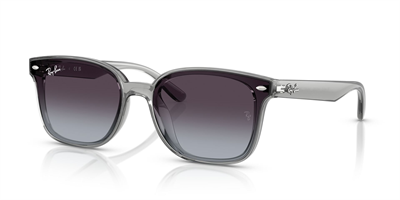 RAYBAN RB 4461-D 6450/8G 64