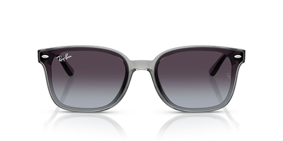 RAYBAN RB 4461-D 6450/8G 64