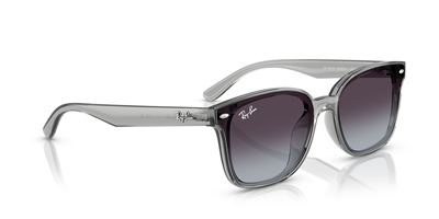 RAYBAN RB 4461-D 6450/8G 64