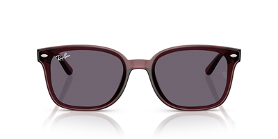 RAYBAN RB 4461-D 6593/73 64