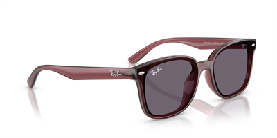RAYBAN RB 4461-D 6593/73 64