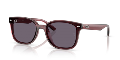 RAYBAN RB 4461-D 6593/73 64