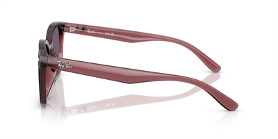 RAYBAN RB 4461-D 6593/73 64