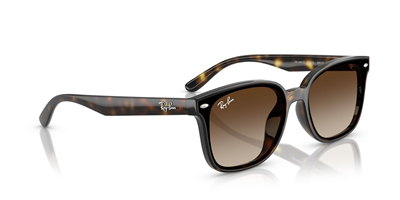 RAYBAN RB 4461-D 710/13 64