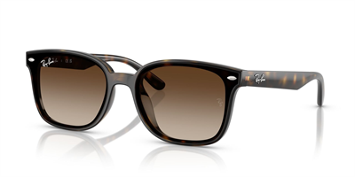 RAYBAN RB 4461-D 710/13 64