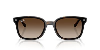 RAYBAN RB 4461-D 710/13 64