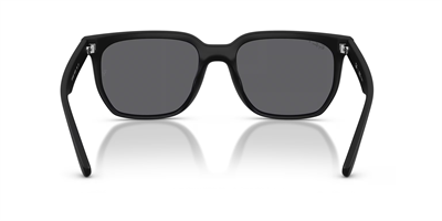 RAYBAN RB 4466-D 601S81 47