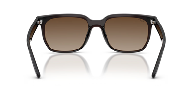 RAYBAN RB 4466-D 714/13 47