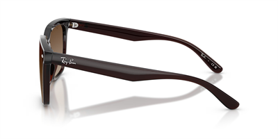 RAYBAN RB 4466-D 714/13 47