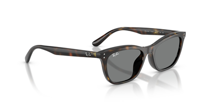 RAYBAN RB 4474D 710/87 54