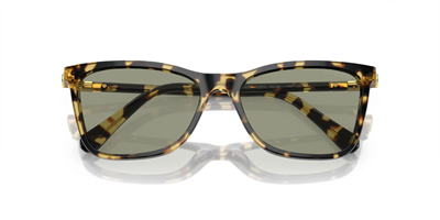 SWAROVSKİ SK 6004 1009/2 55