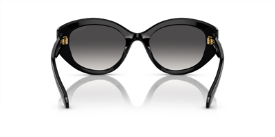 SWAROVSKİ SK 6005 1001/8G 53