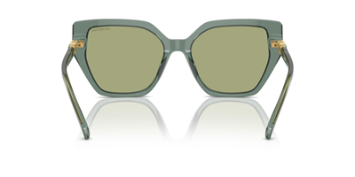 SWAROVSKİ SK 6016 1043/82 56