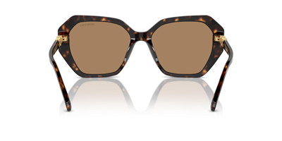SWAROVSKİ SK 6017 1002/M4 56