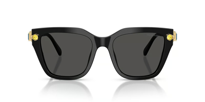 SWAROVSKİ SK 6041 1001/87 53