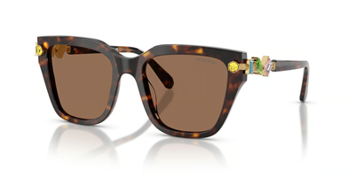 SWAROVSKİ SK 6041 100273 53