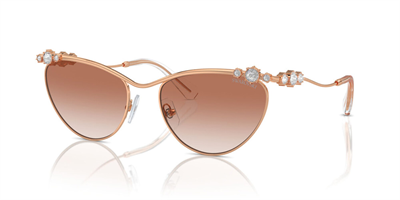 SWAROVSKİ SK 7017 4014/13 58