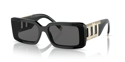 TIFFANY CO. 4197 8001S4 62