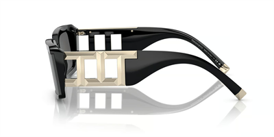 TIFFANY CO. 4197 8001S4 62