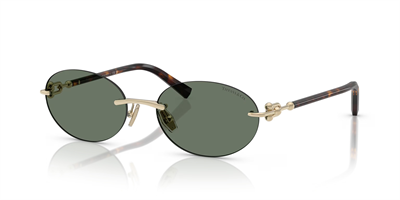 TIFFANY CO. 3104D 623882 56