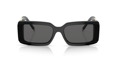 TIFFANY CO. 4197 8001S4 62