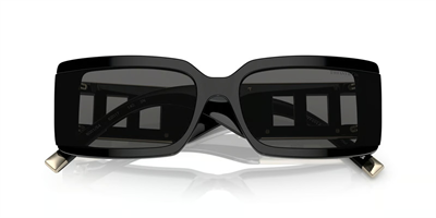 TIFFANY CO. 4197 8001S4 62