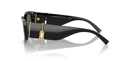 TIFFANY CO. 4208U 8001S4 54