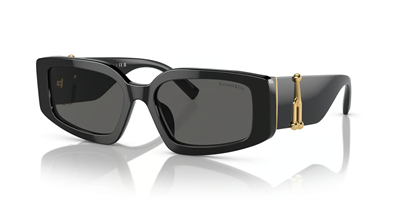 TIFFANY CO. 4208U 8001S4 54