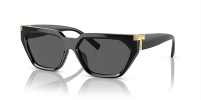 TIFFANY CO. 4205U 8001S4 56