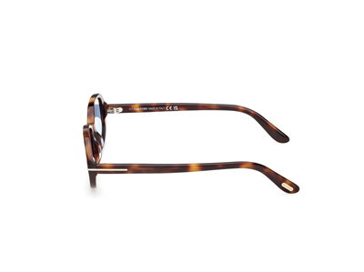 TOM FORD FT 1364/S IGGY 53V 49